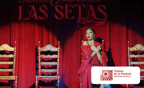 Noticia de Tablao Las Setas En Tablao flamenco Las Setas ofrecemos una experiencia Premium